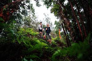 BIB: 
                            <button type="button" onclick="openModal(26204054)" class="btn btn-primary btn-sm float-right btn-popup" data-toggle="modal" data-target=".modal-high-quality">
                        <i class="fas fa-shopping-cart"></i> Add to Cart
                    </button>
                                            <button type="button" onclick="isThisMe(26204054, true)" class="btn btn-success btn-sm float-right btn-popup btn-isme hidden" data-toggle="tooltip" data-placement="bottom" title="นี่คือรูปของคุณใช่ไหม คลิกที่นี่เพื่อเอาเข้าอัลบั้ม">
                        <i class="fas fa-plus"></i> Add to album
                    </button>
                    <button type="button" onclick="isThisMe(26204054, false)" class="btn btn-warning btn-sm float-right btn-popup btn-isnotme hidden">
                        <i class="fas fa-ban"></i> Remove from album
                    </button>